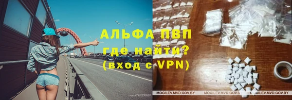 стаф Алексин