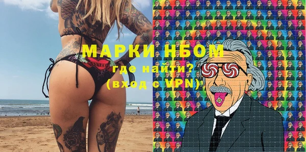 стаф Алексин