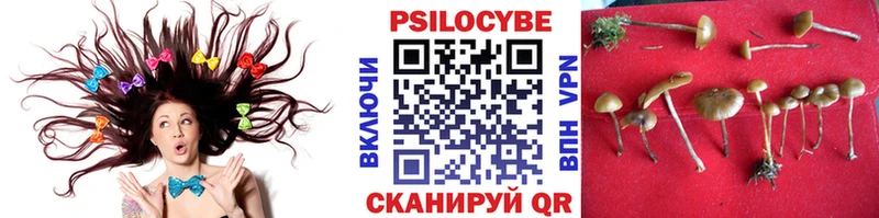 Галлюциногенные грибы Magic Shrooms  Перевоз 
